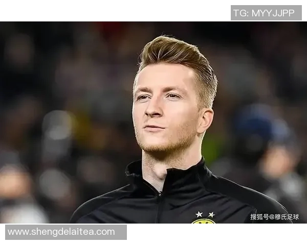 足球明星罗伊斯的职业生涯与个人成就全解析 足球明星罗伊斯的职业生涯与个人成就全解析